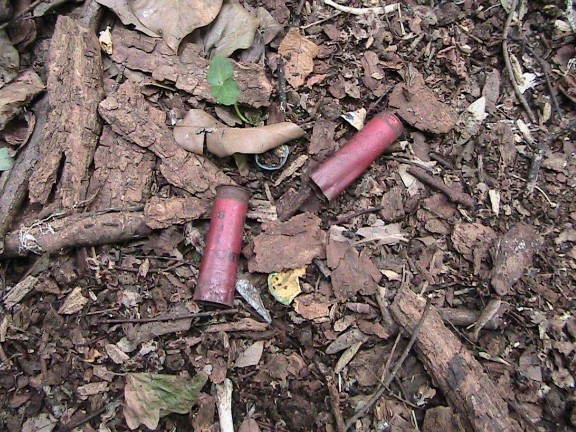 Inquietanti tracce in una villa...al centro di Roma!!!